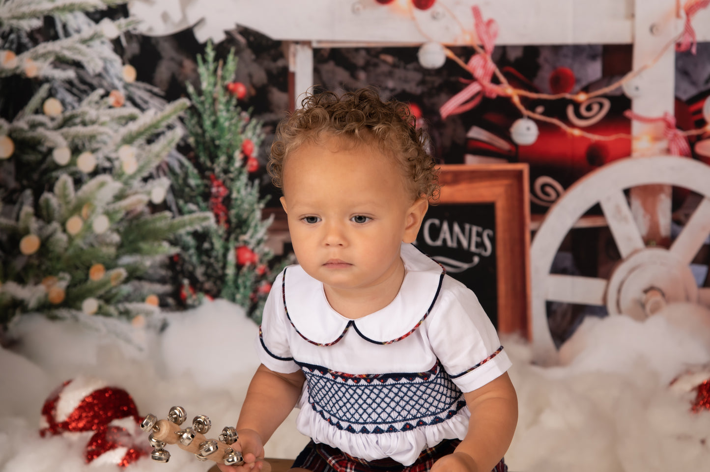 Exclusive Boys Smocked Shirt & Short Set