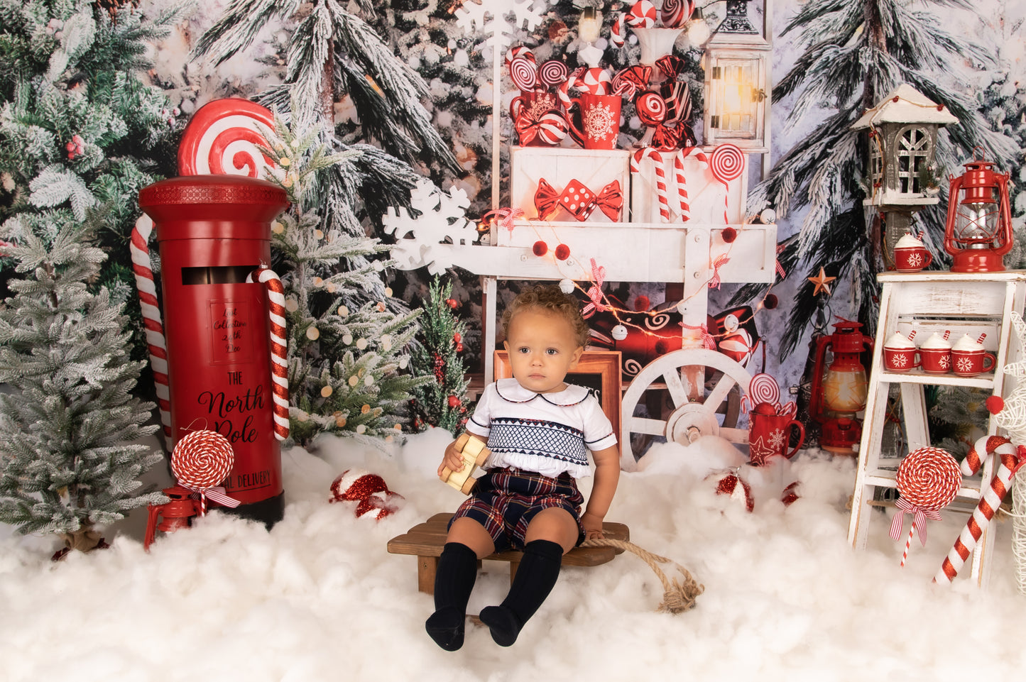 Exclusive Boys Smocked Shirt & Short Set