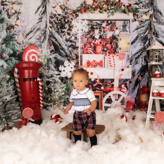 Exclusive Boys Smocked Shirt & Short Set